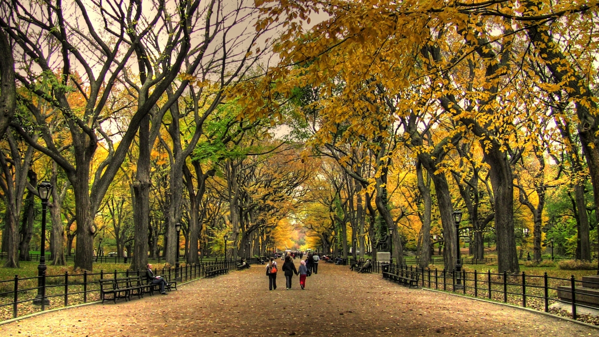  - central-park-in-the-fall-its-fall-my-favorite-time-of-the-year-stephanie-frost-2k2shbbp